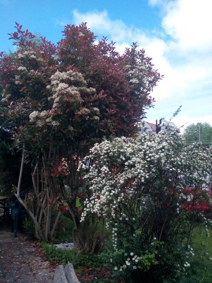 B&B Antica Corte Lombarda Mortara Bagian luar foto