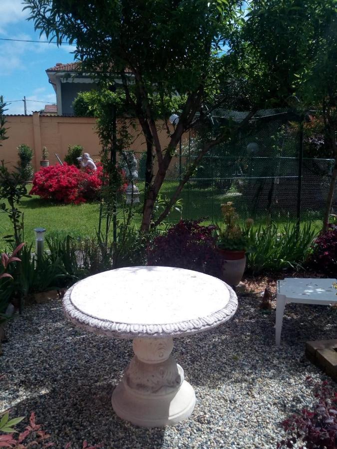 B&B Antica Corte Lombarda Mortara Bagian luar foto