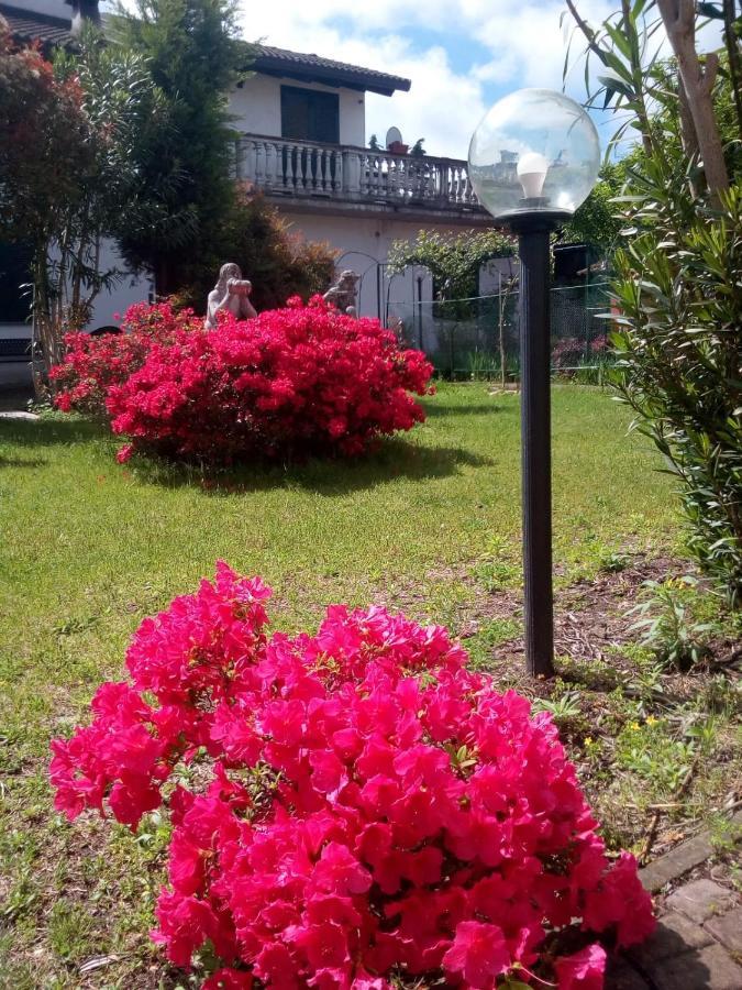 B&B Antica Corte Lombarda Mortara Bagian luar foto