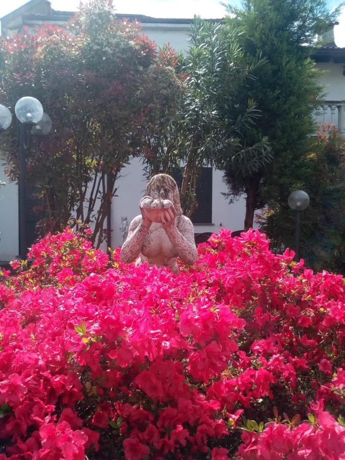 B&B Antica Corte Lombarda Mortara Bagian luar foto