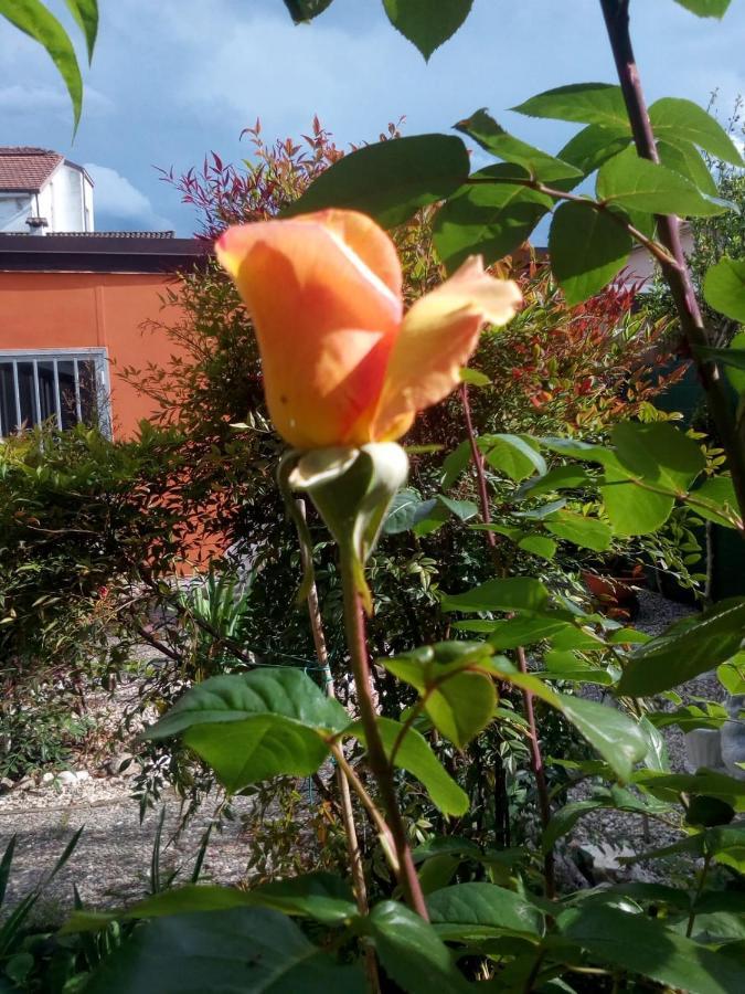 B&B Antica Corte Lombarda Mortara Bagian luar foto