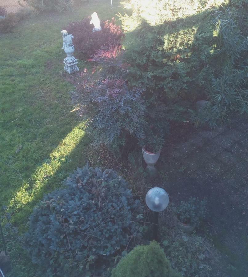 B&B Antica Corte Lombarda Mortara Bagian luar foto