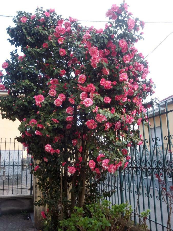 B&B Antica Corte Lombarda Mortara Bagian luar foto