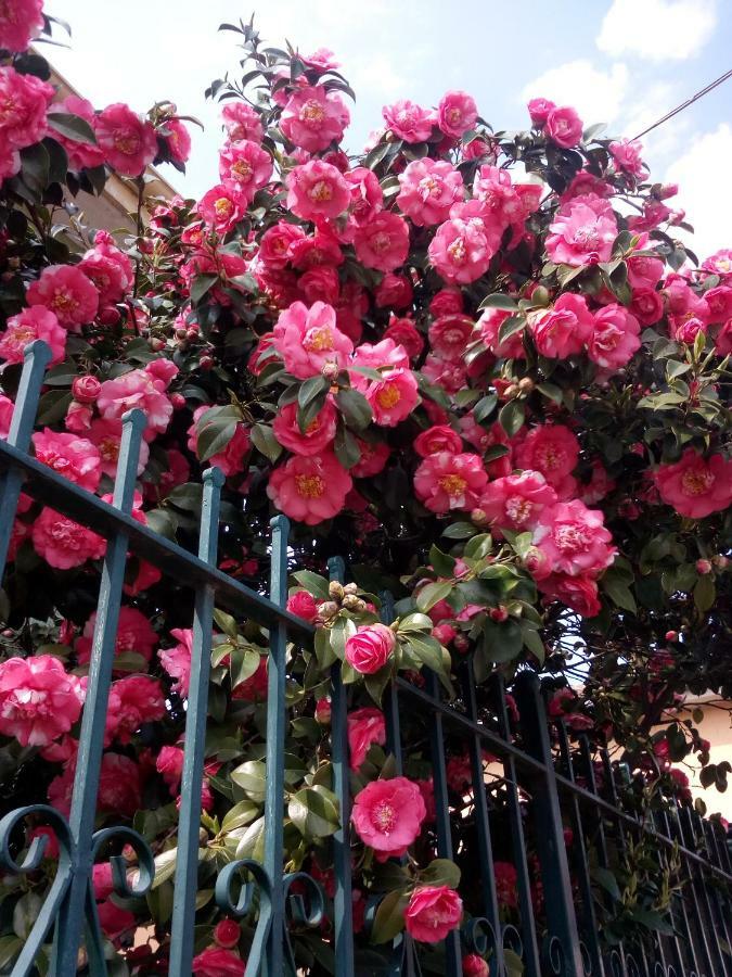 B&B Antica Corte Lombarda Mortara Bagian luar foto