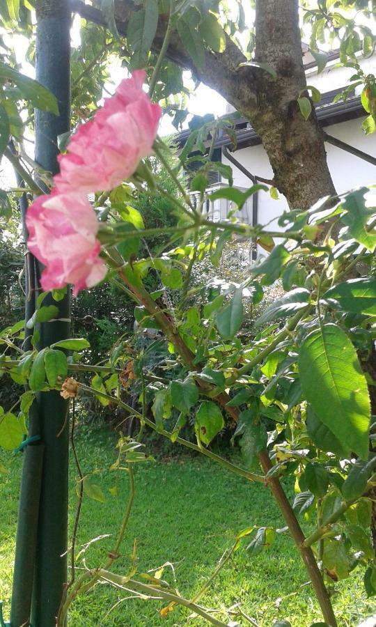 B&B Antica Corte Lombarda Mortara Bagian luar foto